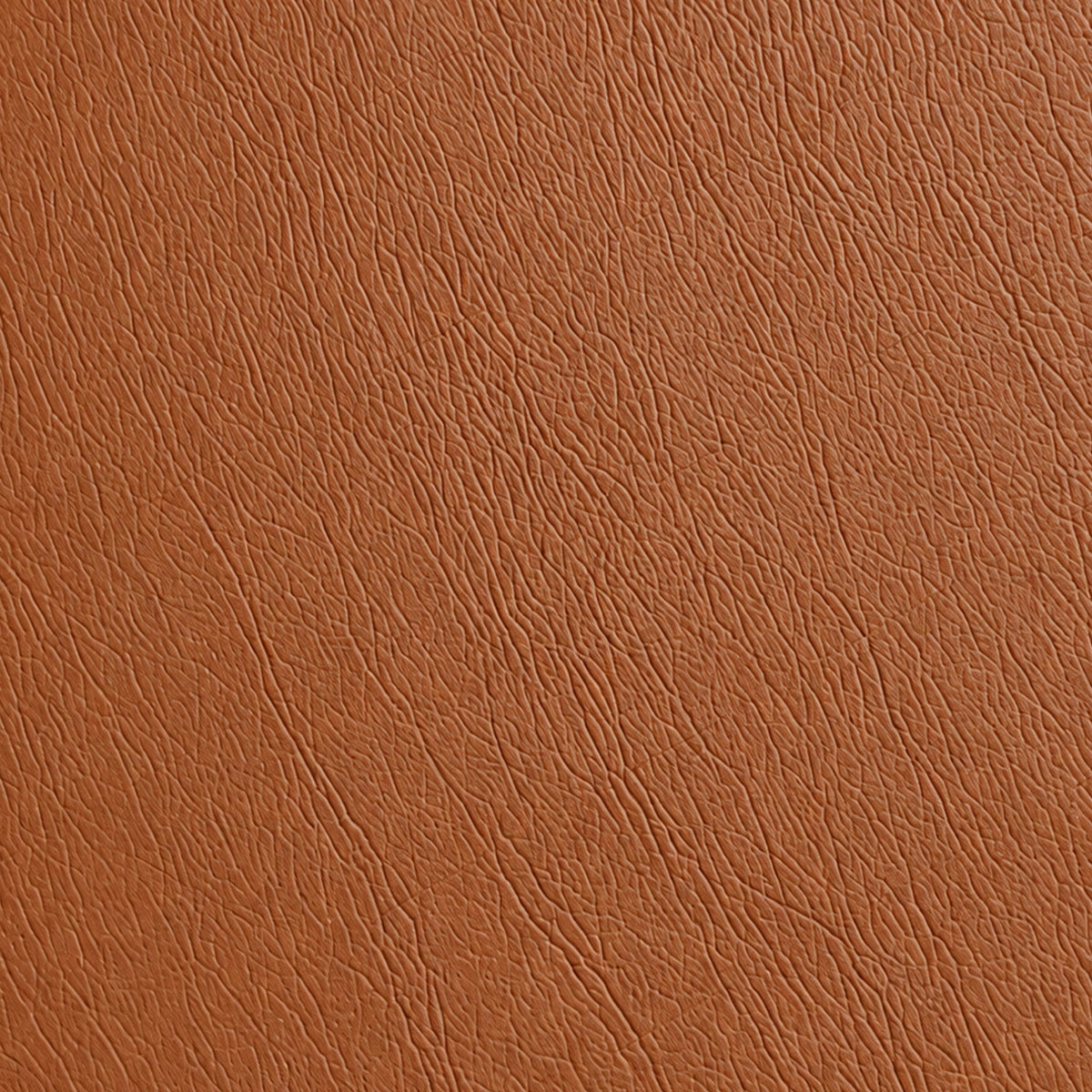 Leather Blinds