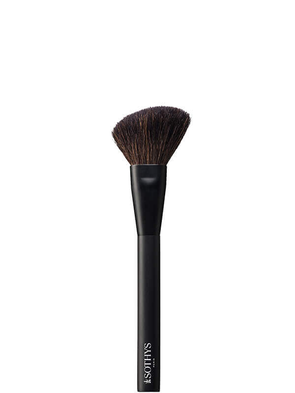 Make Up Brushes